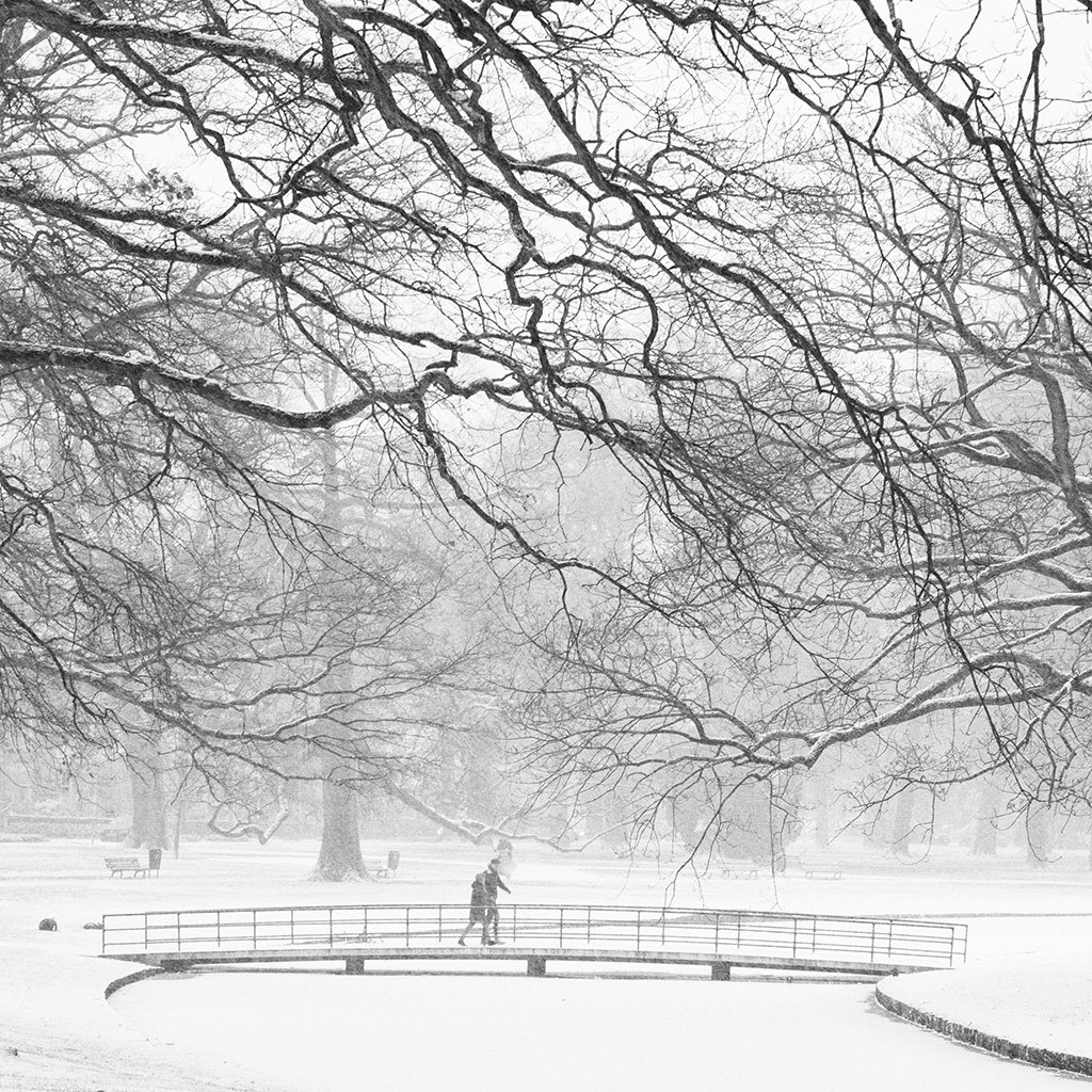 Oranjepark by Adriaan Holsappel