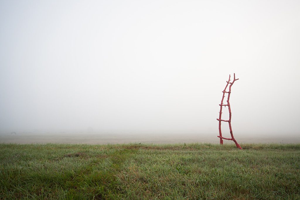 The ladder by Adriaan Holsappel