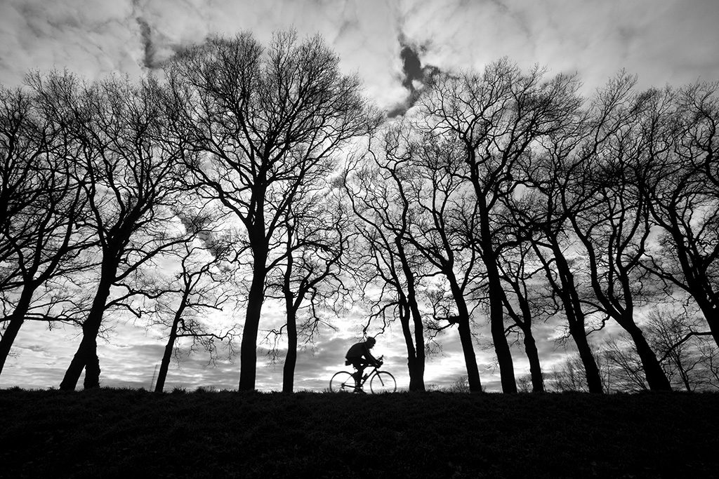 Cyclist by Adriaan Holsappel